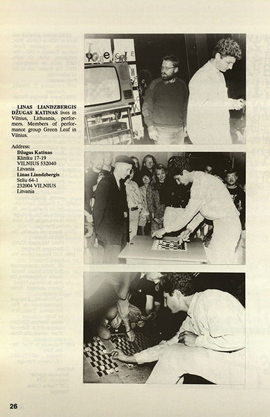 Vaizdas:Liandzbergis katinas performansas.JPG