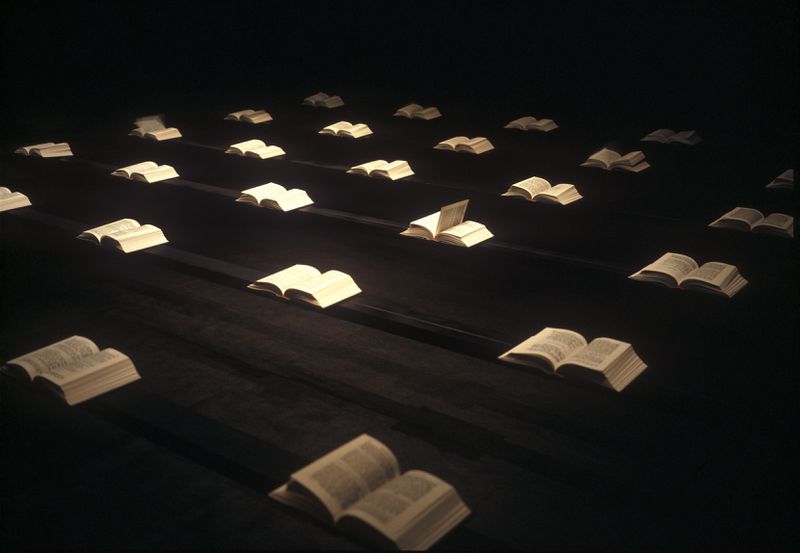 Vaizdas:03 Vladimir Tarasov Sechina 2003.jpg